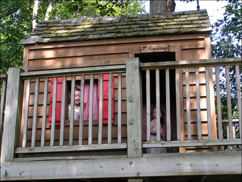 Robinson's in the Tree House
