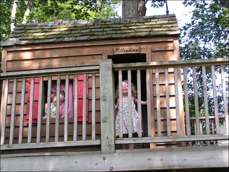 Robinson's in the Tree House