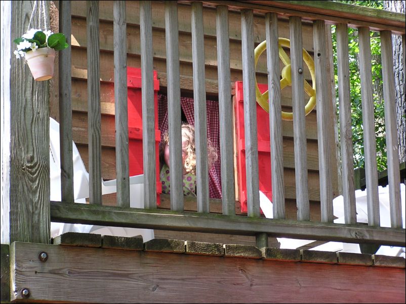 Robinson's in the Tree House
