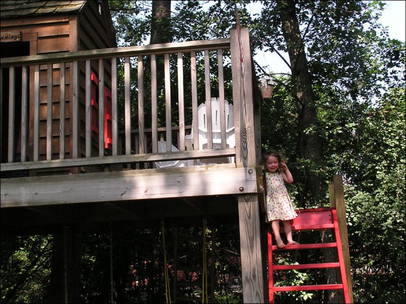 Robinson's in the Tree House