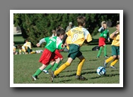 [Click to enlarge image]