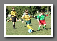 [Click to enlarge image]